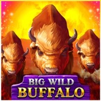 game logo by Belatra Games on fieryplays.eu